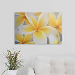 GREAT BIG CANVAS Flowers Print
