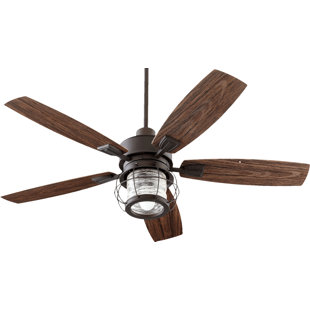 BREAKWATER BAY Glazer 52'' Ceiling Fan with LED Lights