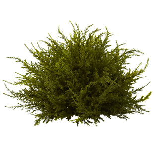 PRIMRUE 7.5'' Faux Cedar Topiary (Set of 3)