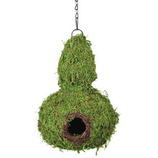 SUPERMOSS™ 12'' H x 8'' W x 8'' D Hanging Birdhouse