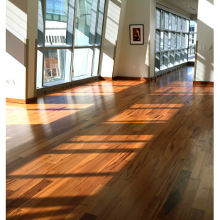 ALBERO VALLEY Tigerwood 4.75'' W Hardwood Flooring