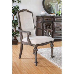 LAUREL FOUNDRY MODERN FARMHOUSE® Jordon Fabric Solid Back Arm Chair (Set of 2)