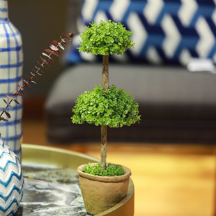 AUGUST GROVE® Triple Ball Orchid Topiary in Pot
