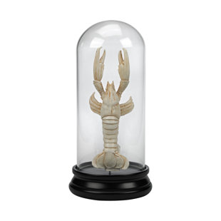 STEELSIDE™ Arya Animals Cloche Or Water Globe