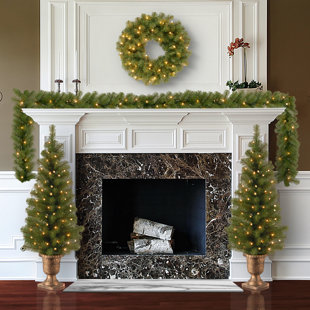 THE HOLIDAY AISLE® 4 Piece Evergreen Assortment with Decorative Base and Clear LED Lights