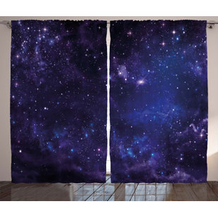 BRAYDEN STUDIO® Reanna Polyester Room Darkening Curtain Pair (Set of 2)
