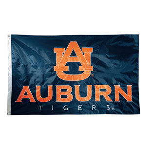 TEAM PRO-MARK NCAA Applique 2-Sided Nylon 36 x 60 in. House Flag
