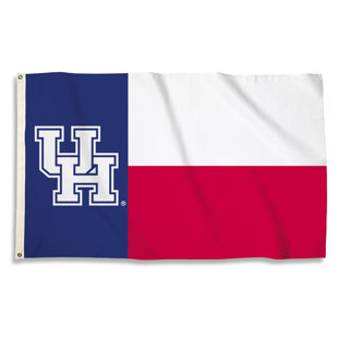 TEAM PRO-MARK NCAA Double Sided 36'' H x 60'' W Polyester House Flag
