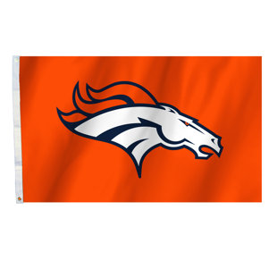 TEAM PRO-MARK Double Sided 36'' H x 60'' W Polyester House Flag