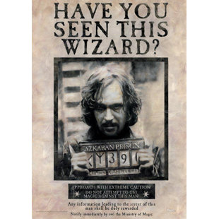 Harry Potter 'Sirius Black' MightyPrint Wall Decor
