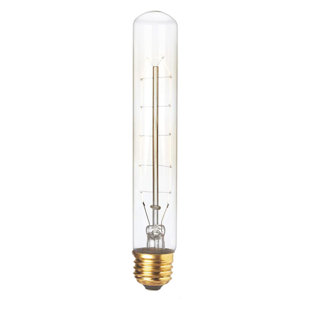 RENWIL 30 Watt E26/Medium (Standard) Incandescent Bulb
