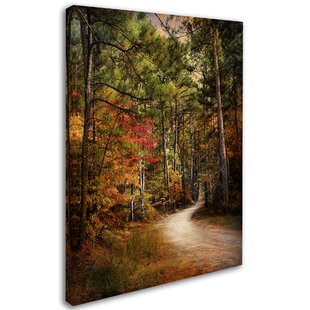 TRADEMARK FINE ART Jai Johnson " Autumn Forest 2 " by Jai Johnson