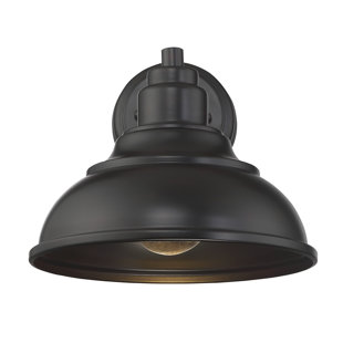 HIGHLAND DUNES Misti English Bronze Outdoor Barn Light