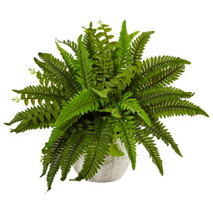 BAY ISLE HOME™ 14'' Faux Fern Plant in Ceramic Planter