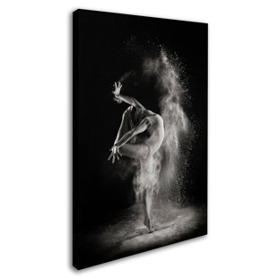 TRADEMARK FINE ART " In The Light " by Shades And Light