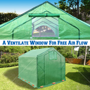 SUNRISE OUTDOOR LTD 6.5 Ft. W x 8 Ft. D Greenhouse