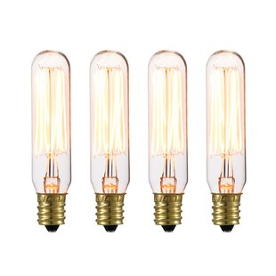 BIRCH LANE™ Marshall 40 Watt E12/Candelabra Dimmable 2200K Incandescent Bulb (Set of 4)