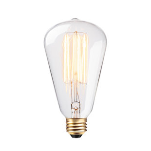 GLOBE ELECTRIC COMPANY Edison 60 Watt E26/Medium (Standard) Dimmable 2200K Incandescent Bulb