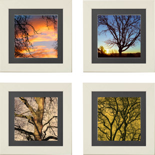 IMAGINE LETTERS INC. Touch Of Nature Framed On Paper 4 Pieces by Neeva Kedem Print