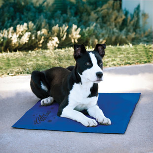 K&H MANUFACTURING Coolin' Nylon Pet Bed