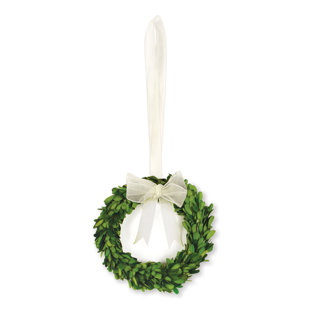 BIRCH LANE™ Alby Preserved Real Greenery 7'' Wreath (Set of 2)