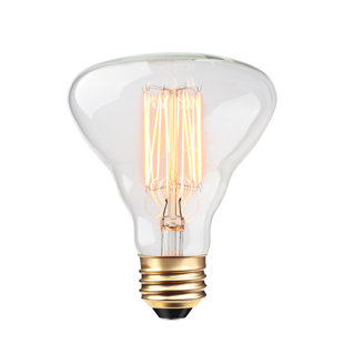 GLOBE ELECTRIC COMPANY Designer 40 Watt E26/Medium (Standard) Dimmable Incandescent Bulb