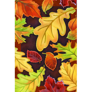 TOLAND HOME GARDEN Double Sided 40'' H x 28'' W Polyester House Flag