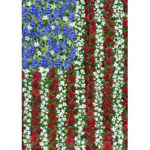 TOLAND HOME GARDEN Double Sided 40'' H x 28'' W Polyester Independence Day House Flag