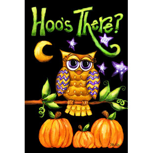 TOLAND HOME GARDEN Hoo's There 2-Sided Polyester 40 x 28 in. House Flag