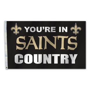 TEAM PRO-MARK NFL Double Sided 36'' H x 60'' W Polyester House Flag