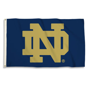 TEAM PRO-MARK NCAA Double Sided 36'' H x 60'' W Polyester House Flag