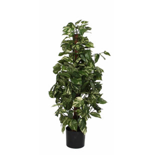 THE SEASONAL AISLE 110cm Ivy Plant in Pot