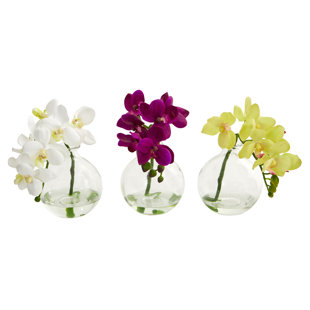 LE PRISE™ Orchid Arrangement in Vase (Set of 3)