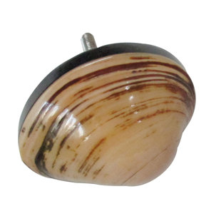 MASCOT HARDWARE Shell 1-3/4 in. Peach Cabinet Knob