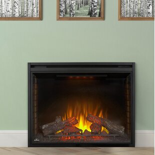 NAPOLEON Ascent Wall Mounted Electric Fireplace Insert