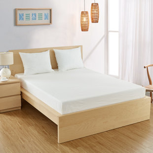 BARGOOSE HOME TEXTILES Bedbug Solution Waterproof Fitted Mattress Protector Mattress Protector Case Pack