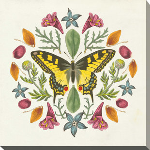 HARPER ORCHARD 'Butterfly Mandala III' Graphic Art Print