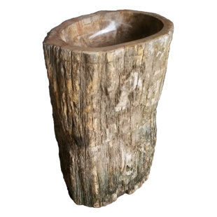 EDEN BATH Natural Petrified Wood Stone Pedestal Bathroom Sink