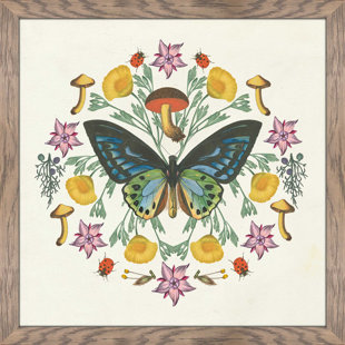 HARPER ORCHARD Butterfly Mandala IV Framed On Plastic/Acrylic Print
