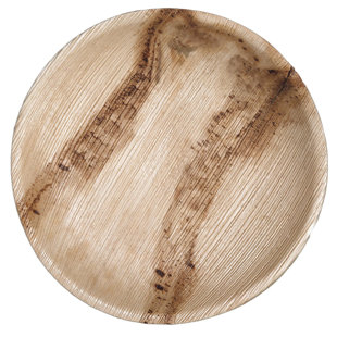 CATERECO Disposable Dinner Plate (Set of 100)