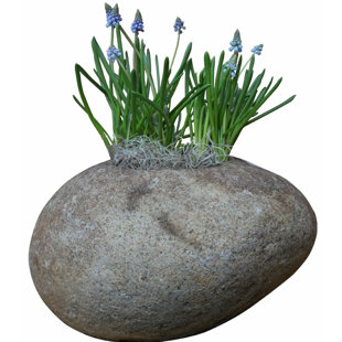 ALPEN HOME Blumentopf Savanah