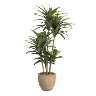 BAYOU BREEZE 78'' Faux Dracaena Tree in Concrete Planter