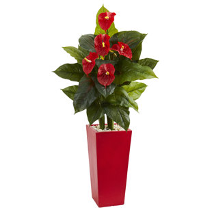 DROPSHIP.NEARLYNATURAL Anthurium Floral Arrangements in Vase