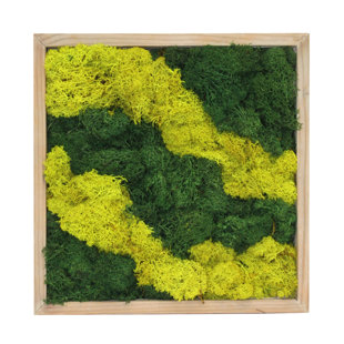 PRIMRUE Moss Art Tile Wall Décor