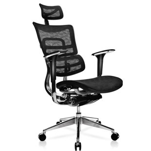 BRAYDEN STUDIO® Canarsie Ergonomic Mesh Task Chair with Headrest