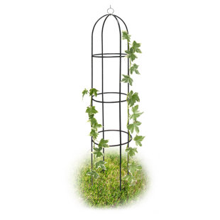 SOL 27 OUTDOOR Rankgitter Finlaw aus Metall