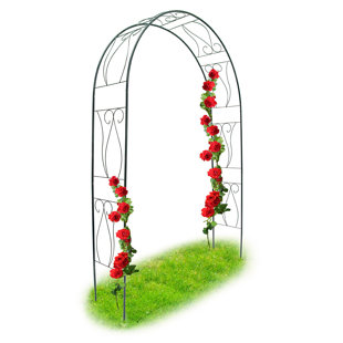 AUGUST GROVE Aisley 233cm H x 153cm W Arched Trellis