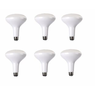 ELEGANT LIGHTING Equivalent BR40 E26/Medium (Standard) Dimmable LED Bulb (Set of 6)