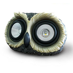 MYFUNCORP Owl Solar Powered Spot Light
