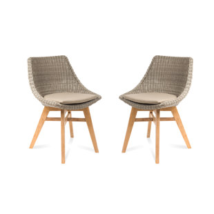 FOUNDRY SELECT Coleman Patio Dining Chair with Cushion (Set of 2)